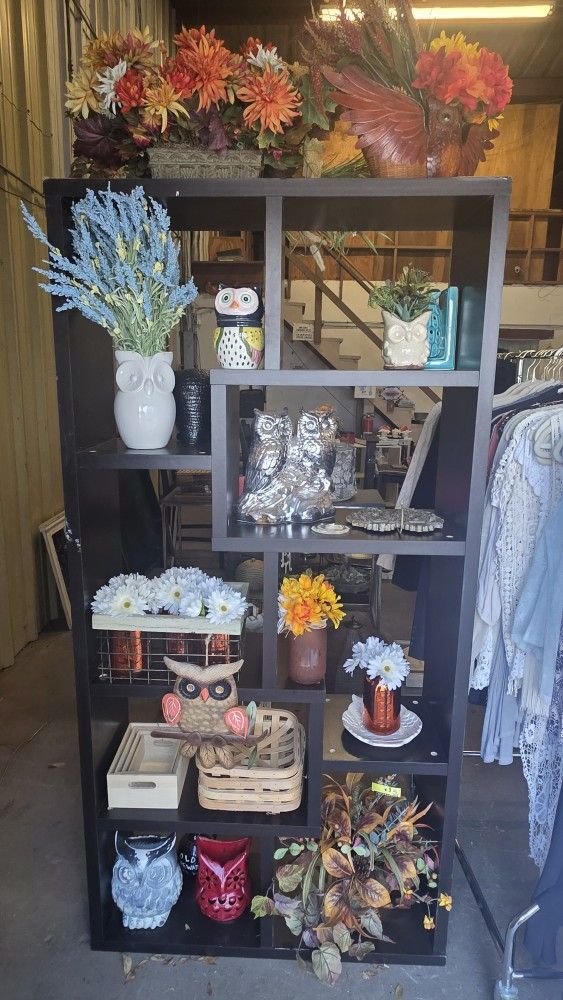 ✨ 50% Off Everything! ✨