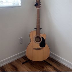 Laurel Canyon LA-100 Acoustic Guitar