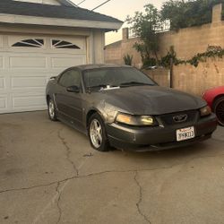 Gray Mustang two door