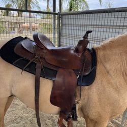 Western Saddle 15.5” 