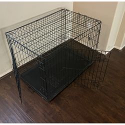 Dog Kennel