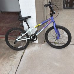 GT Bikes Friendship 20" Wheels Youth BMX Bicycle Purple