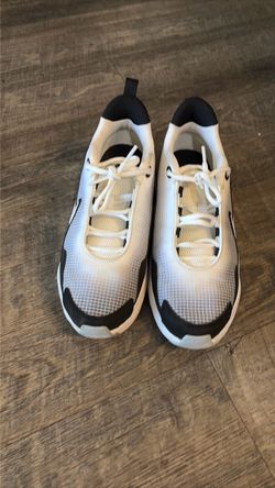 Shoe