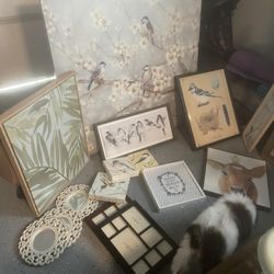 Pictures