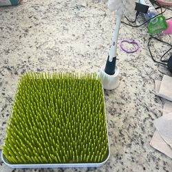 Baby Bottle Grass