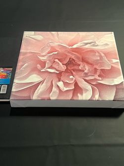 Pink Floral Canvas Wall Art Print