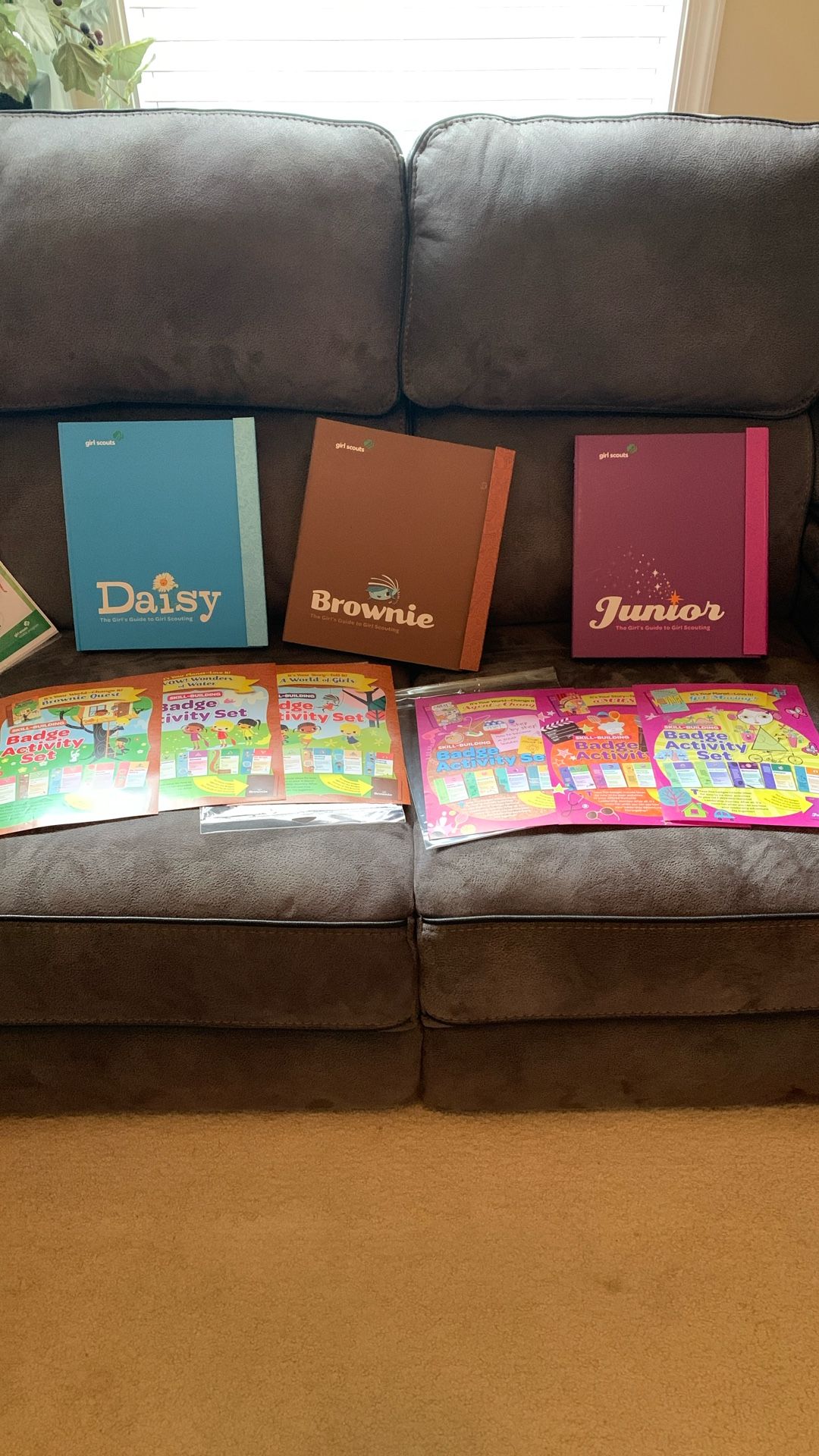 The Girl’s Guide to Girl Scouting