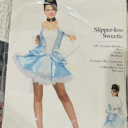 Cinderella Costume Adults