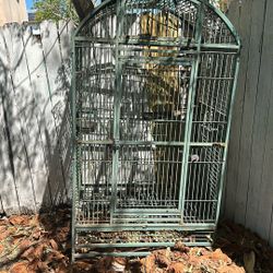 Large, Birdcage