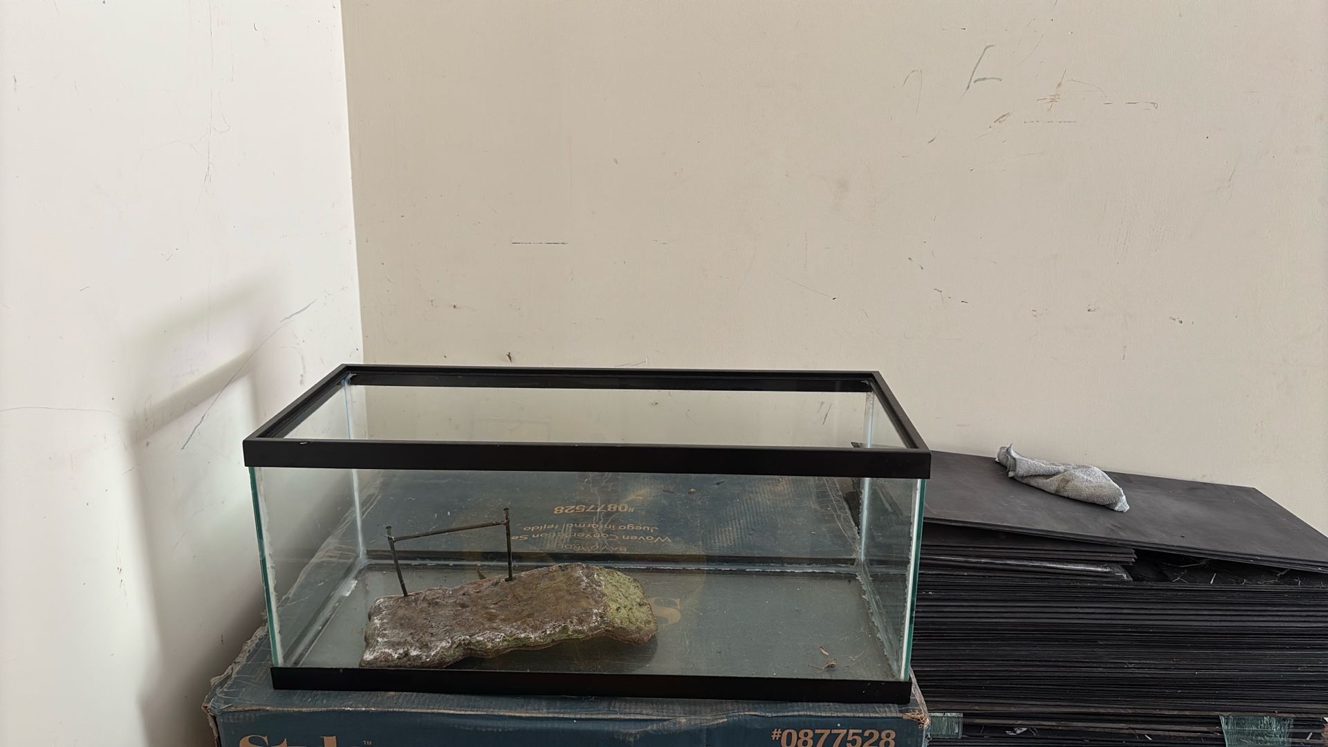 20 Gal Turtle/fish Tank