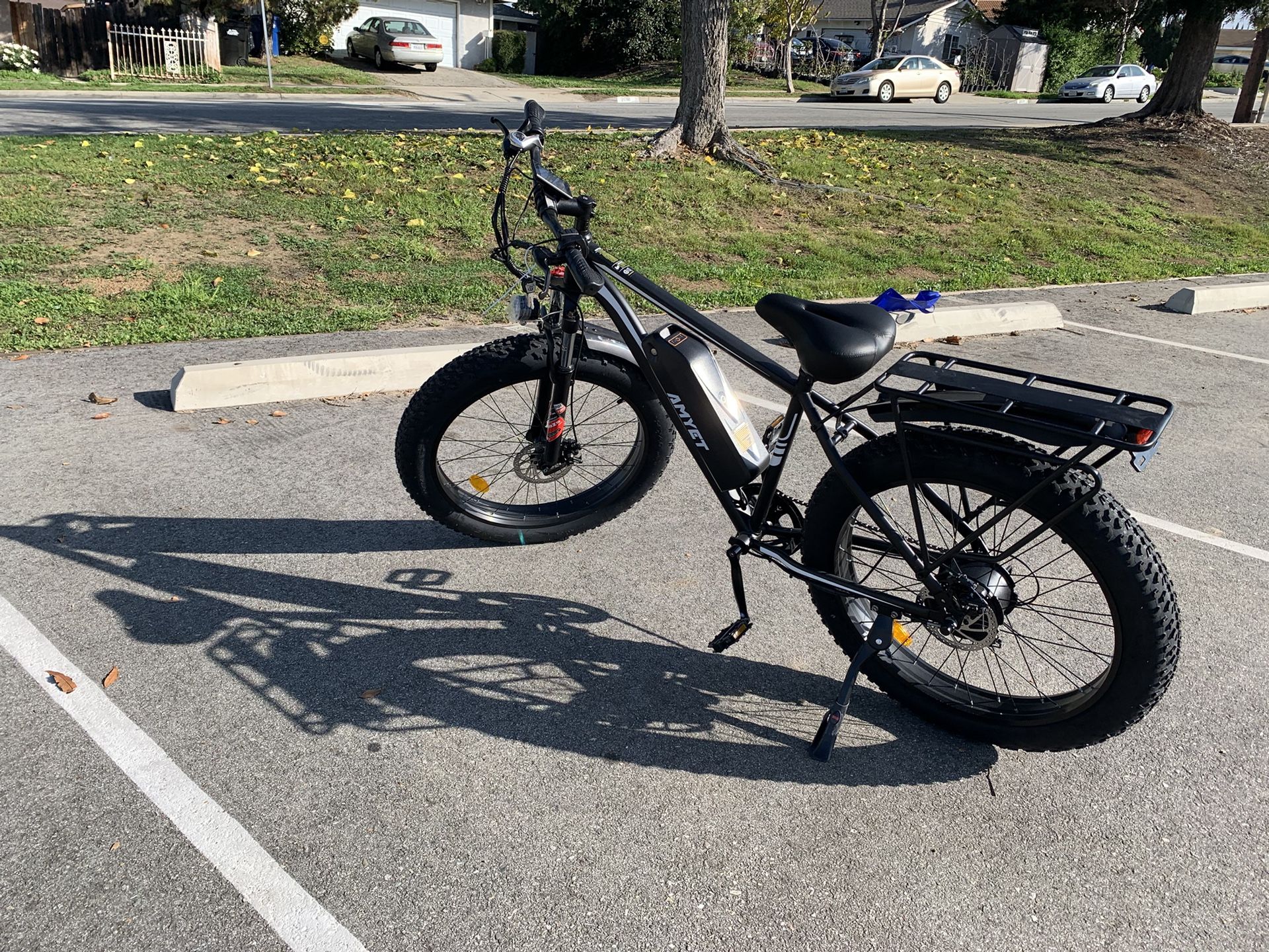 Adult Electric Bike | Big Wheels | High Power Setup
