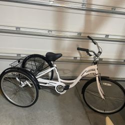 Adult Tricycle New!!! 