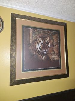 Big Tiger Frame