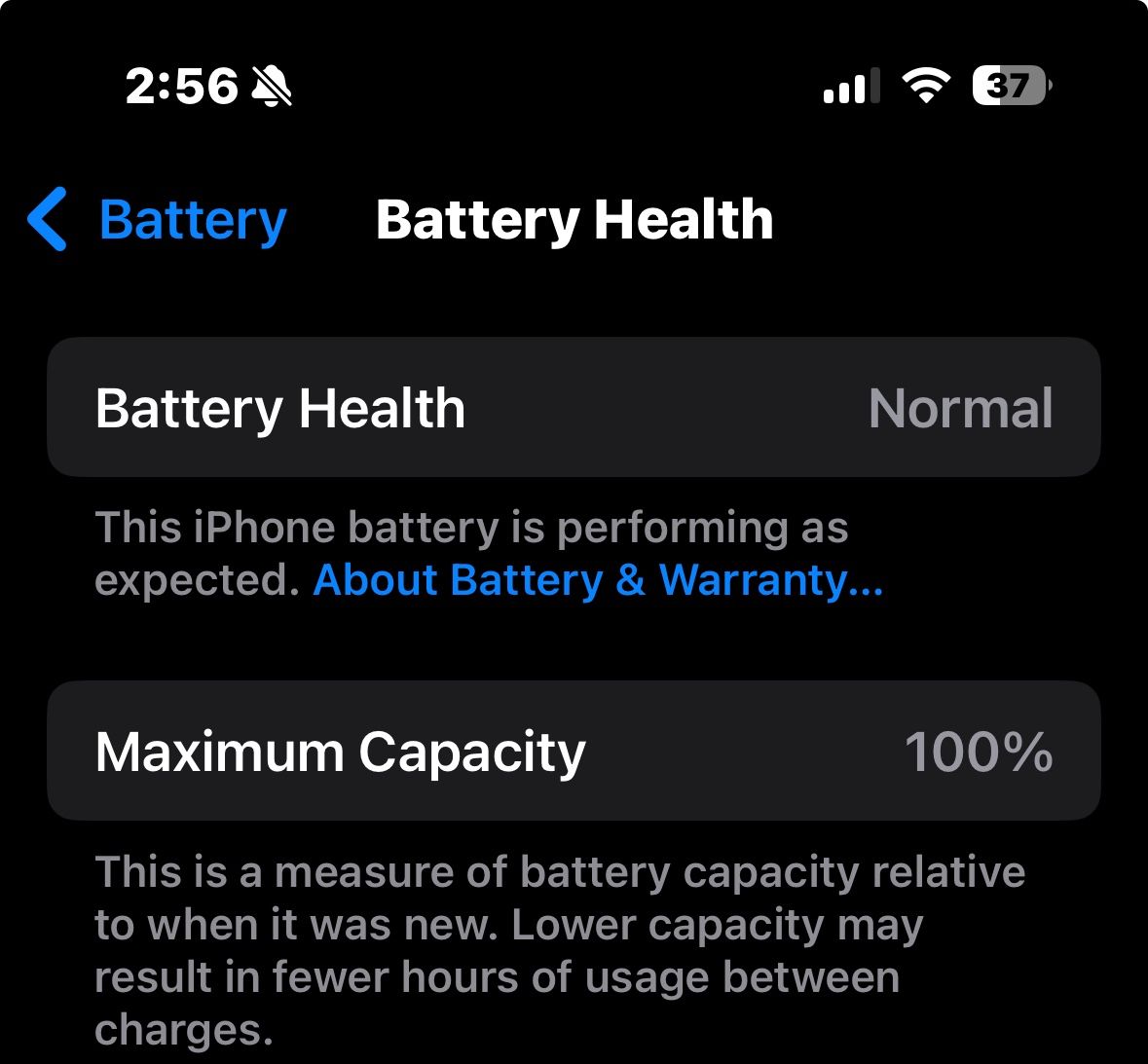 iPhone 16