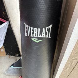 Everlast heavy bag
