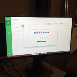 21 Inch Dell Monitor 