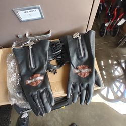 Harley Davidson motorcycle grove