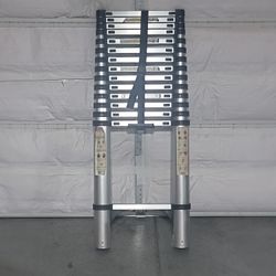 Wolec 19' Telescoping Ladder 