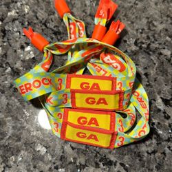 Bottleneck Sunday Wristband GA And VIP