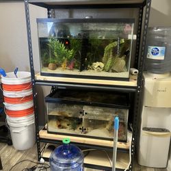 Fish tanks 