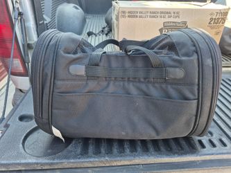 Little dog or a cat carrying  bag.