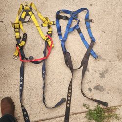 Safety Harness