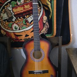 Acoustic guitar vinyl strings