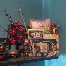 Built Lego Sets 