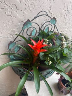 Artistic DeignedMetal Patina Planter