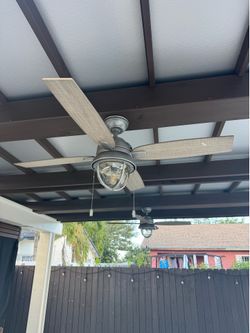 Cealing Fans