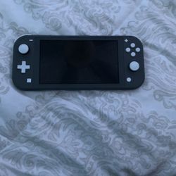 Nintendo Switch Lite With Case