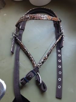 New Leopard Halter