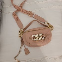 Steve Madden Bag