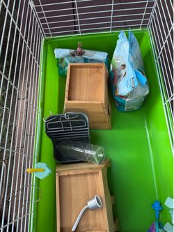 Guinea pig cage in very good condition must go!
