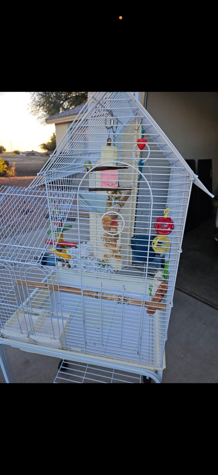 Bird Cage 