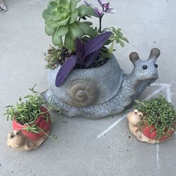 Snail Succulent Planters