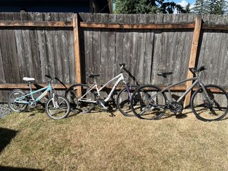 Free Bikes 