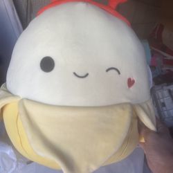 Squishmellows Valentines 