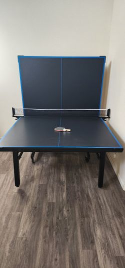 Ping Pong Table