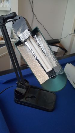 Florescent table lamp