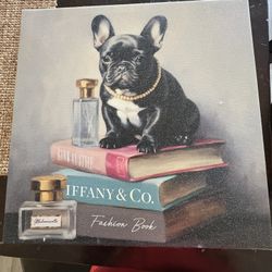 French bulldog Picture 