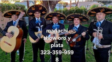 Mariachis