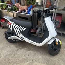 Electric Scooter