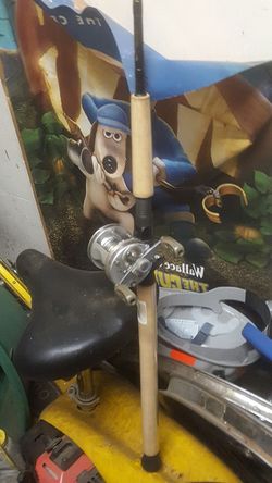 Fishing rod +ambassador reel