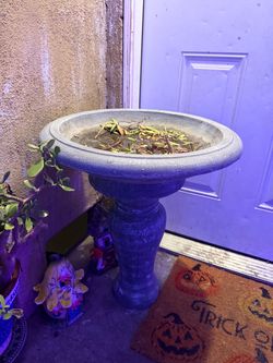 Concrete Pedestal Bird Bath