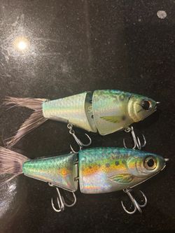 SALTWATER / BASS Glides Fishing