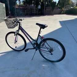 Women Bike With Folding And Floor Pump