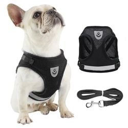 Dog Harness