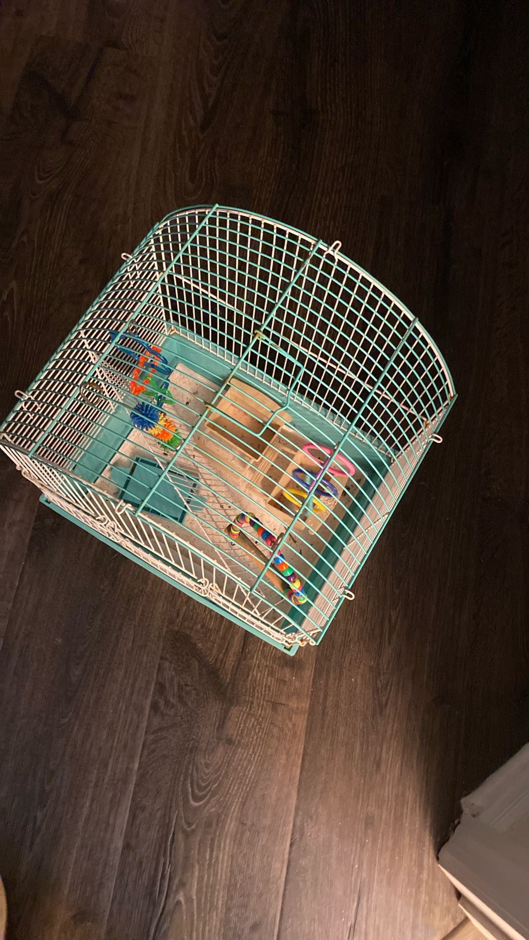 Bird Cage