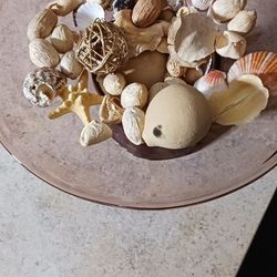 Vintage collectable glass bowl filled with assorted seashells